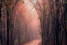 高兴坏了!斯凯利英格兰首秀破门,姐姐和奶奶在看台拥抱庆祝.