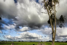 字母哥：我们要保持凝聚力 共同寻找赢球之道.