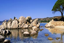 早人物:雄狮归化球员仲村京雅:唱新加坡国歌很开心也有压力.